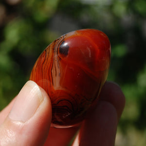 Banded Agate Crystal Palm Stone