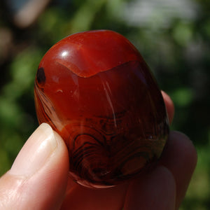 Banded Agate Crystal Palm Stone