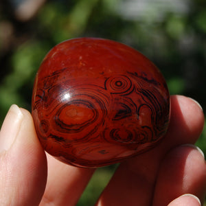 Banded Agate Crystal Palm Stone