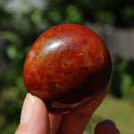 Red Sardonyx Banded Agate Crystal Palm Stone