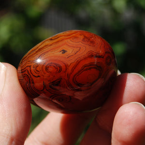 Banded Agate Crystal Palm Stone