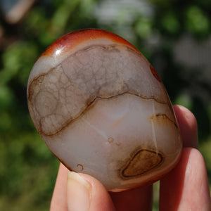 Red Banded Agate Crystal Palm Stone