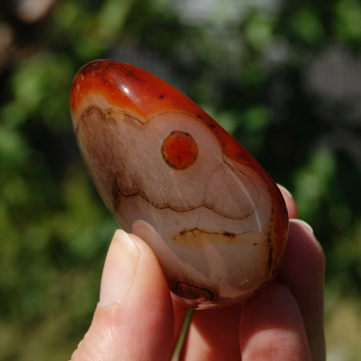 Red Banded Agate Crystal Palm Stone