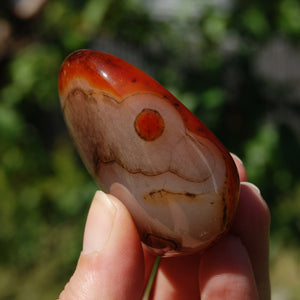 Red Banded Agate Crystal Palm Stone