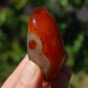 Red Banded Agate Crystal Palm Stone