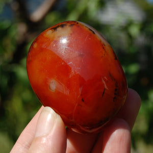 Red Banded Agate Crystal Palm Stone