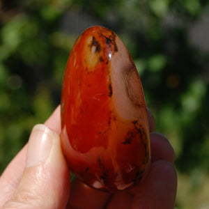 Red Banded Agate Crystal Palm Stone