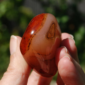 Red Banded Agate Crystal Palm Stone