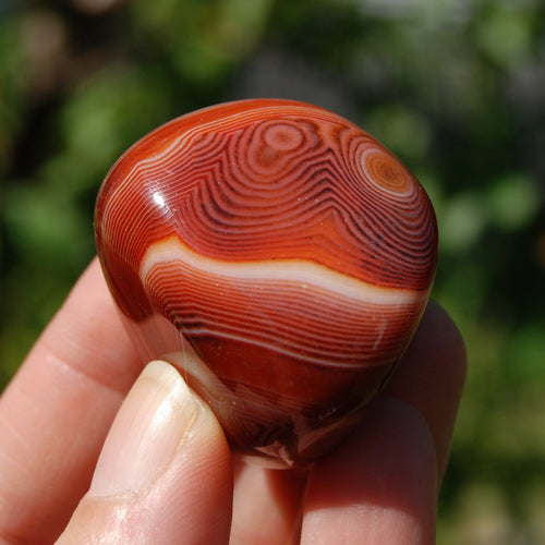 Banded Agate Crystal Palm Stone