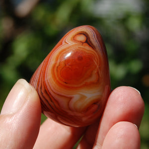 Banded Agate Crystal Palm Stone