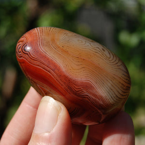 Red Sardonyx Banded Agate Crystal Palm Stone