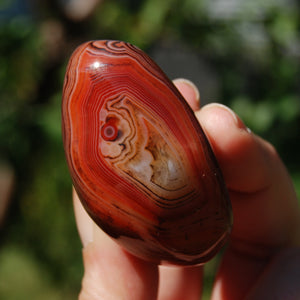 Red Sardonyx Banded Agate Crystal Palm Stone