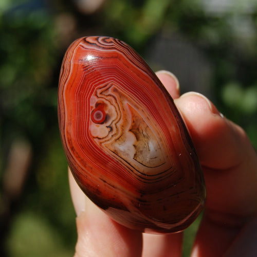 Red Sardonyx Banded Agate Crystal Palm Stone