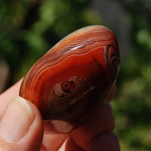 Red Sardonyx Banded Agate Crystal Palm Stone