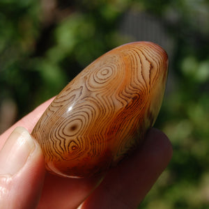 Red Sardonyx Banded Agate Crystal Palm Stone