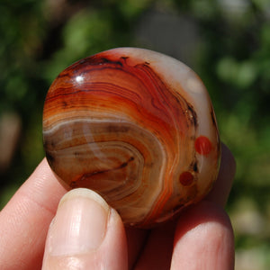 Red Banded Agate Crystal Palm Stone