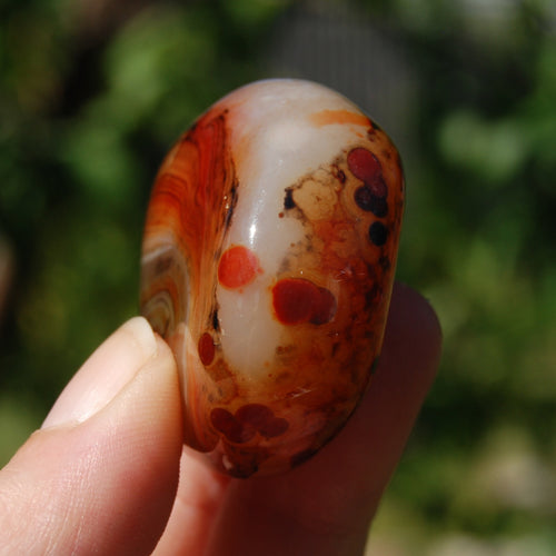 Red Banded Agate Crystal Palm Stone