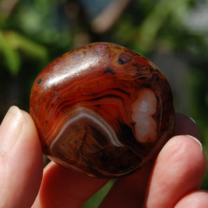 Red Banded Agate Crystal Palm Stone