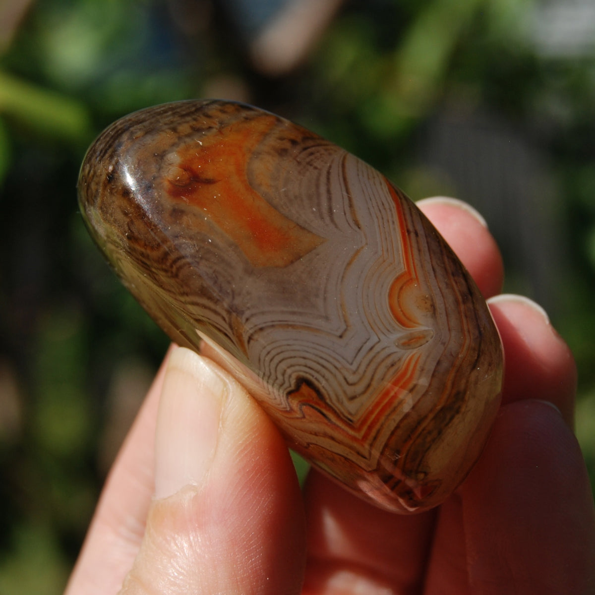 Banded Agate Crystal Palm Stone