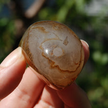 Load image into Gallery viewer, Banded Agate Crystal Palm Stone
