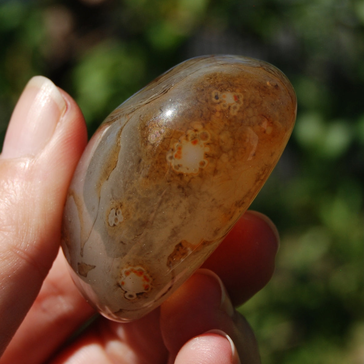 Banded Agate Crystal Palm Stone