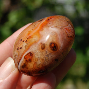 1.9in 76g Red Sardonyx Banded Agate Crystal Palm Stone, Madagascar bc3