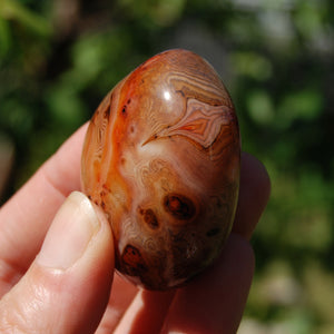 1.9in 76g Red Sardonyx Banded Agate Crystal Palm Stone, Madagascar bc3