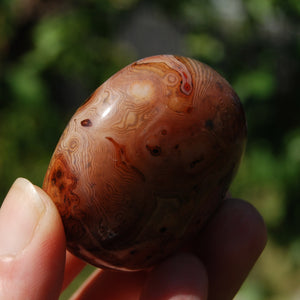 1.9in 76g Red Sardonyx Banded Agate Crystal Palm Stone, Madagascar bc3