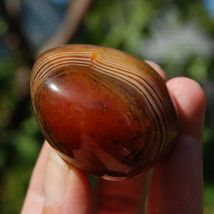 Red Sardonyx Banded Agate Crystal Palm Stone