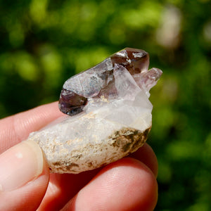 1.6in 20g DT Tantric Twin Smoky Amethyst Quartz Crystal Cluster, Specular Hematite Lepidocrocite, Zimbabwe ab1