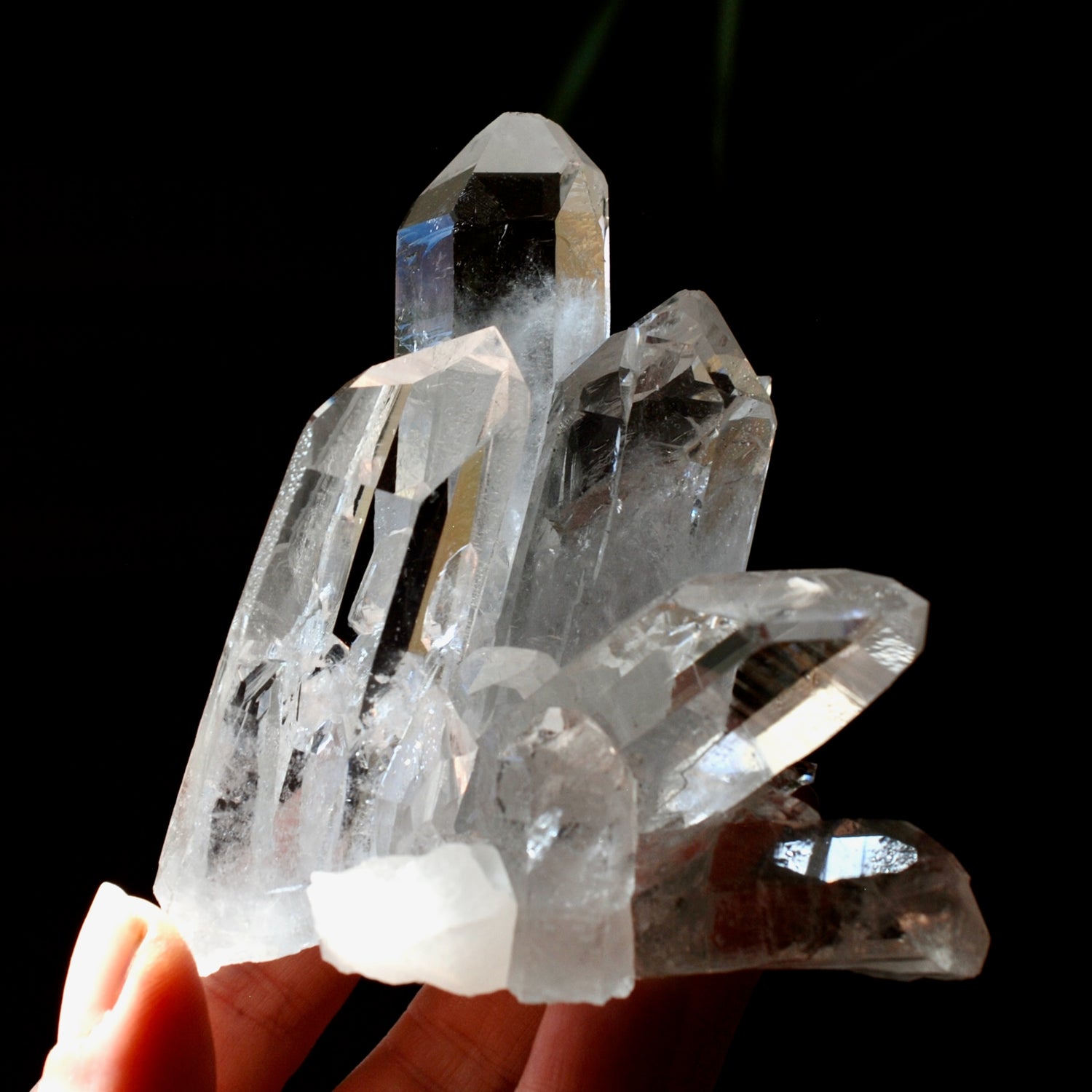 Cosmic Tantric Twin Channeler Lemurian Silver Quartz Crystal Starbrary Cluster Optical Corinto, Brazil