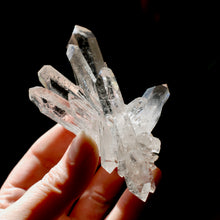 Load image into Gallery viewer, Cosmic Record Keeper Lemurian Silver Quartz Crystal Starburst Cluster DT Channeler Starbrary, Brazil
