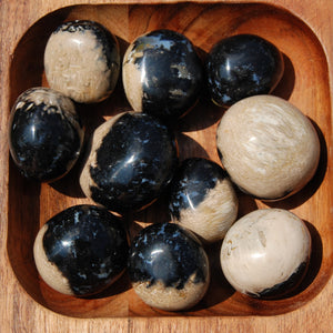 Fossilized Palm Root Crystal Tumbled Stones