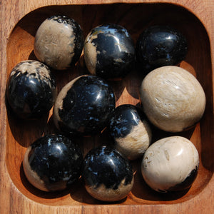 Fossilized Palm Root Crystal Tumbled Stones