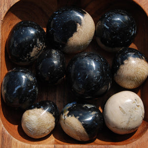 Fossilized Palm Root Crystal Tumbled Stones