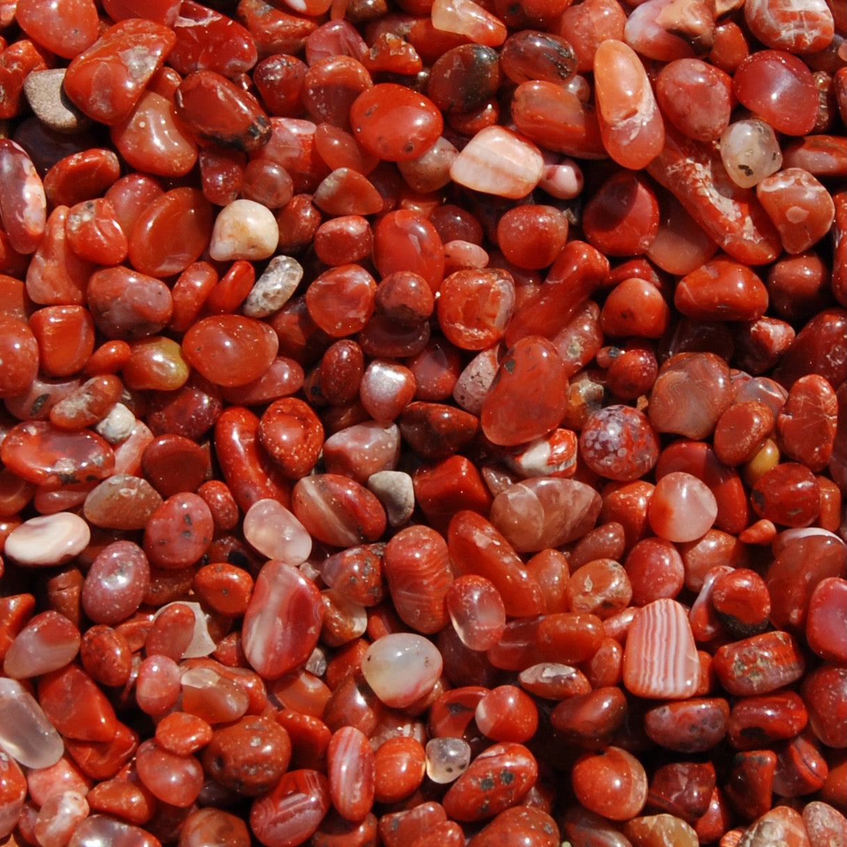 Carnelian Crystal Tumbled Stones, Extra Small, Madagascar