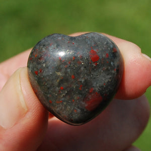 African Bloodstone Crystal Heart Shaped Palm Stone