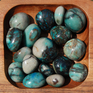 Phoenix Stone Quantum Quattro Crystal Tumbled Stones