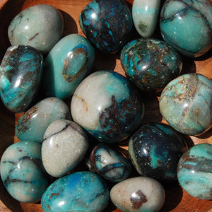 Phoenix Stone Quantum Quattro Crystal Tumbled Stones