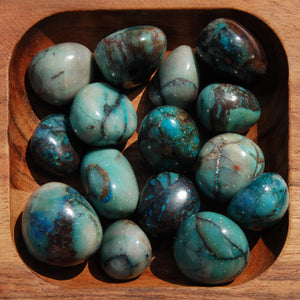 Phoenix Stone Quantum Quattro Crystal Tumbled Stones