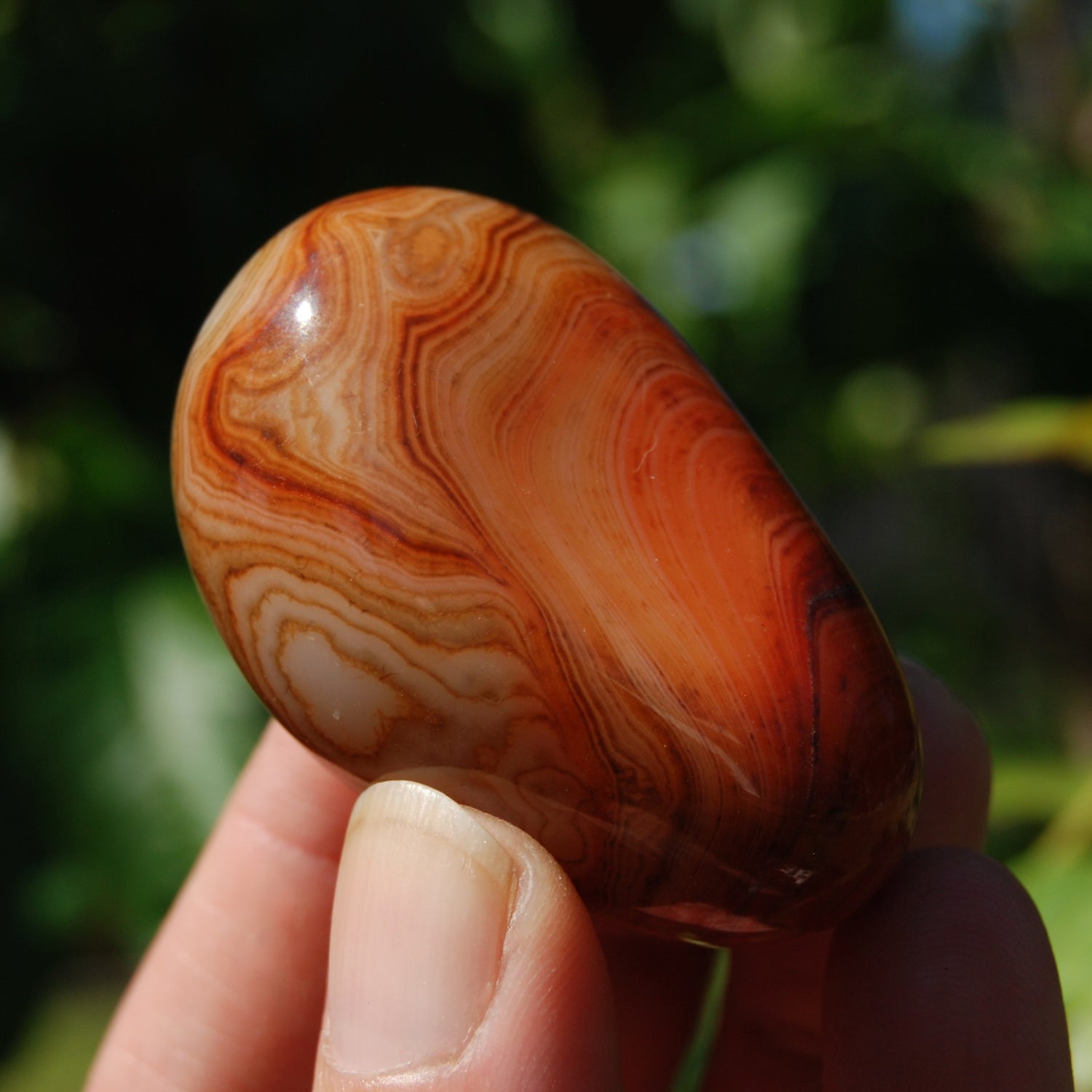 Red Banded Agate Crystal Palm Stone, Sardonyx