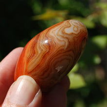 Load image into Gallery viewer, Red Banded Agate Crystal Palm Stone, Sardonyx
