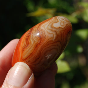 Red Banded Agate Crystal Palm Stone, Sardonyx