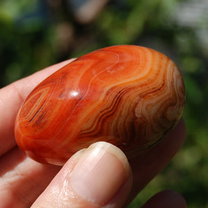 Red Banded Agate Crystal Palm Stone, Sardonyx