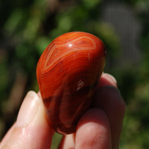 Red Banded Agate Crystal Palm Stone, Sardonyx