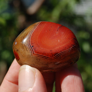 Red Banded Agate Crystal Palm Stone