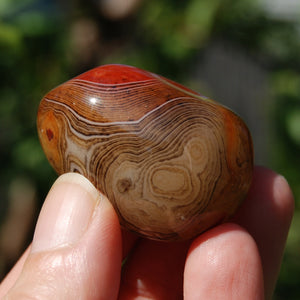 Red Banded Agate Crystal Palm Stone