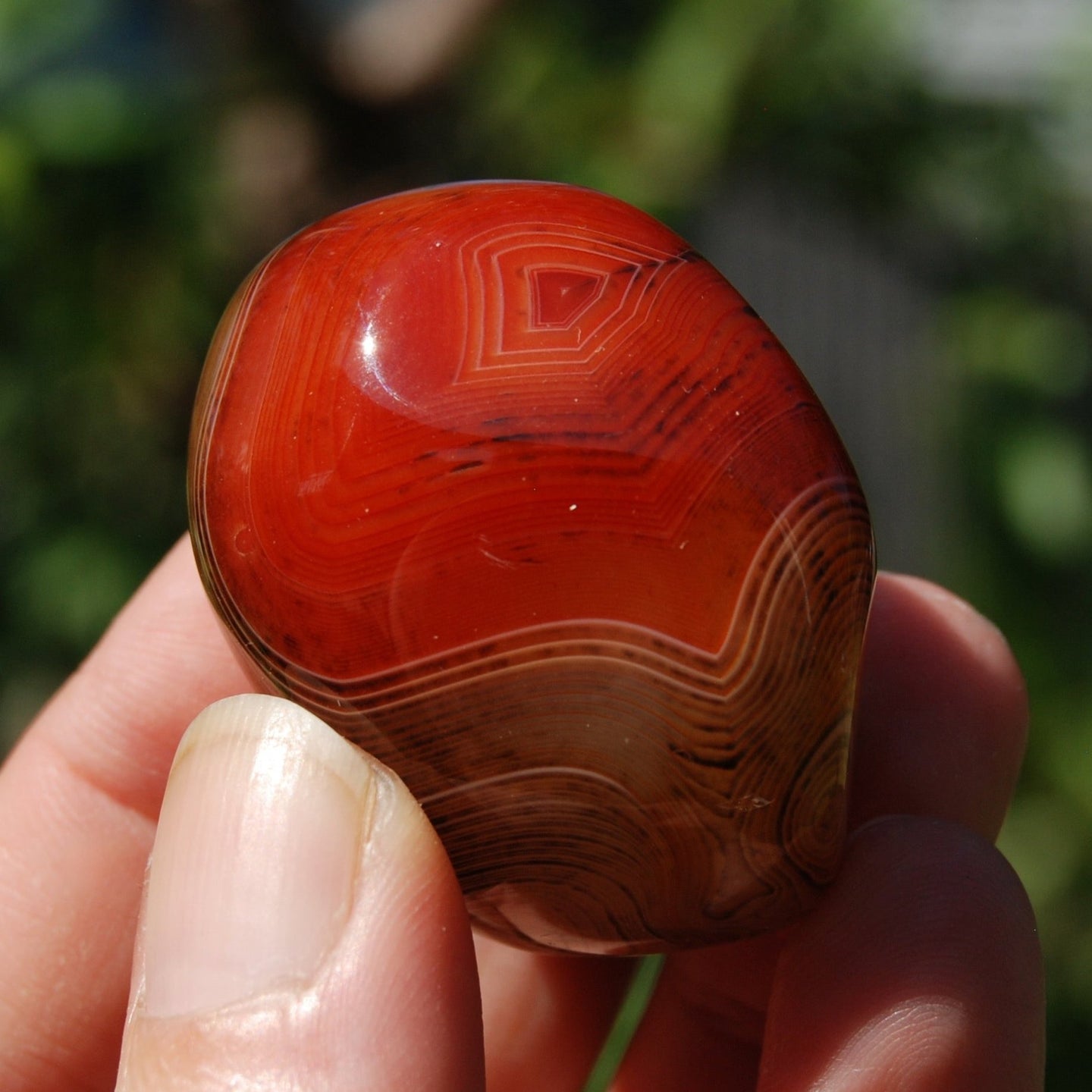 Red Banded Agate Crystal Palm Stone