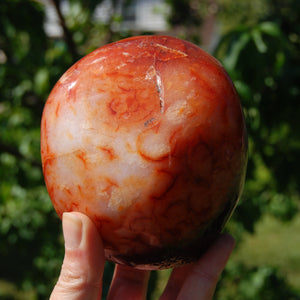 XL Red Carnelian Crystal Freeform Tower