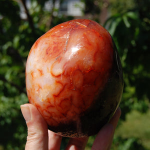 XL Red Carnelian Crystal Freeform Tower